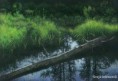 /album/photogallery/reflecfishhookcrk-jpg/